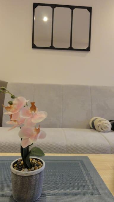 شقة Le Belvedere Dernier Etage Avec Terrasse Wifi Fibre تارْب المظهر الخارجي الصورة